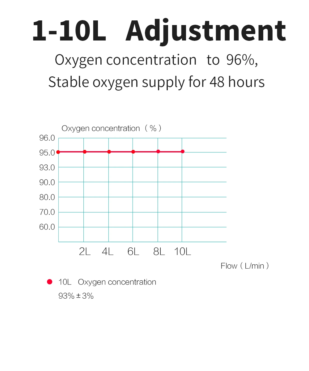 Portable Oxygen Concentrator 10L Large Flow Machine with Atomizing Function for Home