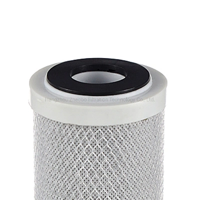 OEM/ODM Manufacturer Hot Sale Activated Carbon Block Filter Cartridge with Coconut Shell 10